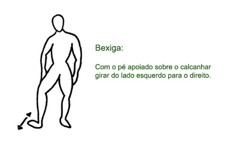 Ilustração original do exercício corporal do meridiano Bexiga, desenho da Katia