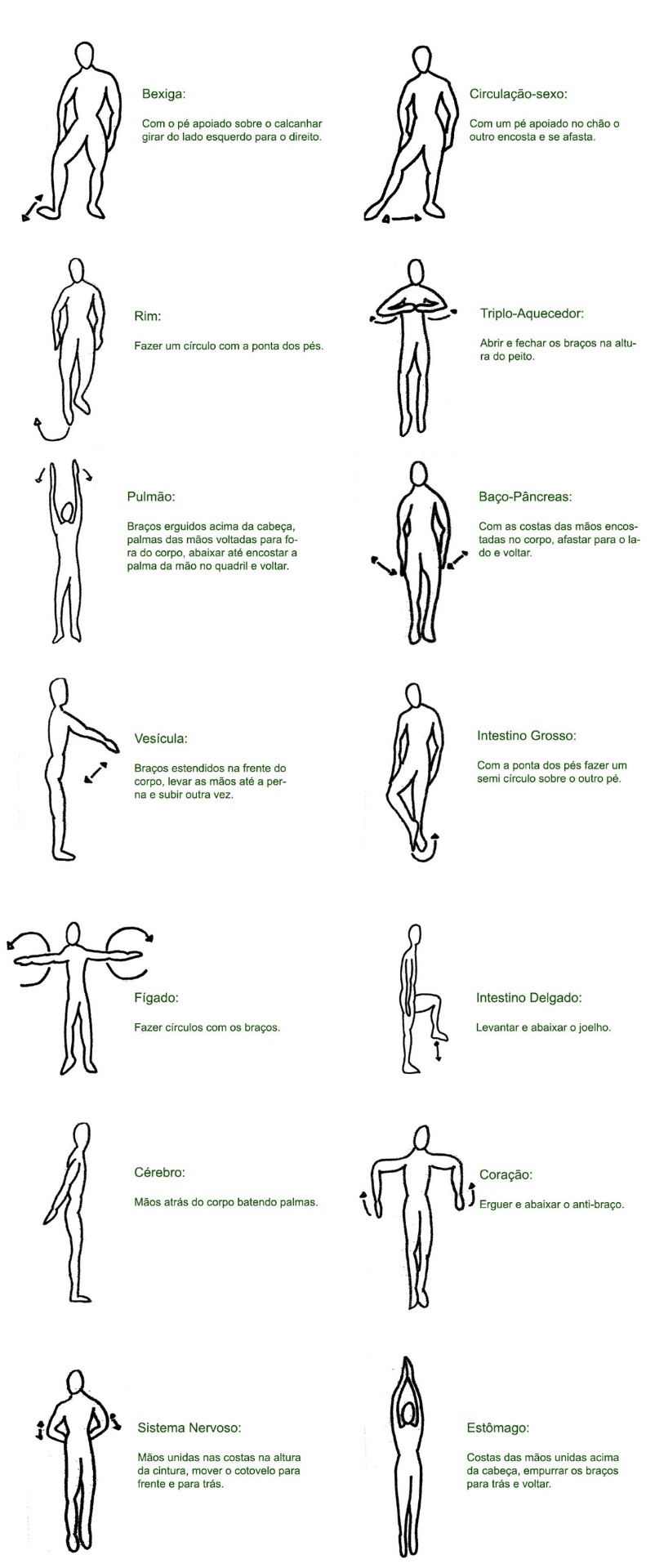 Ilustrações dos 14 exercícios corporais por meridiano, desenhadas pela Catia