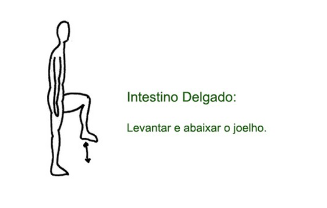 Ilustração original do exercício corporal do meridiano Intestino Delgado, desenho da Katia