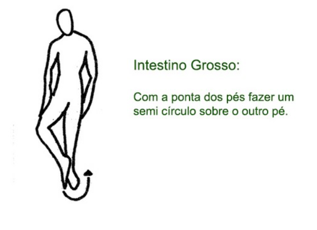 Ilustração original do exercício corporal do meridiano Intestino Grosso, desenho da Katia