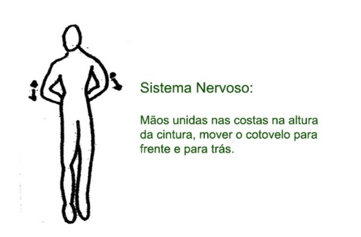 Ilustração original do exercício corporal do meridiano Sistema Nervoso, desenho da Katia