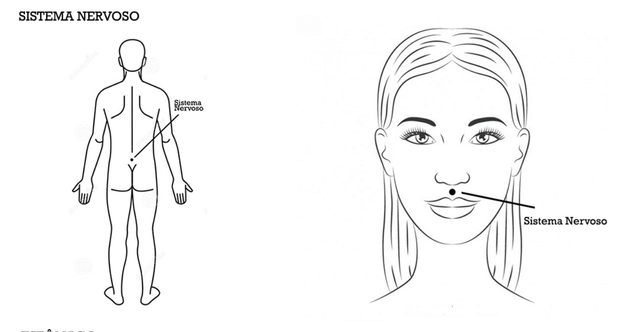 Pontos de tapping do meridiano Sistema Nervoso, desenho original da metodologia
