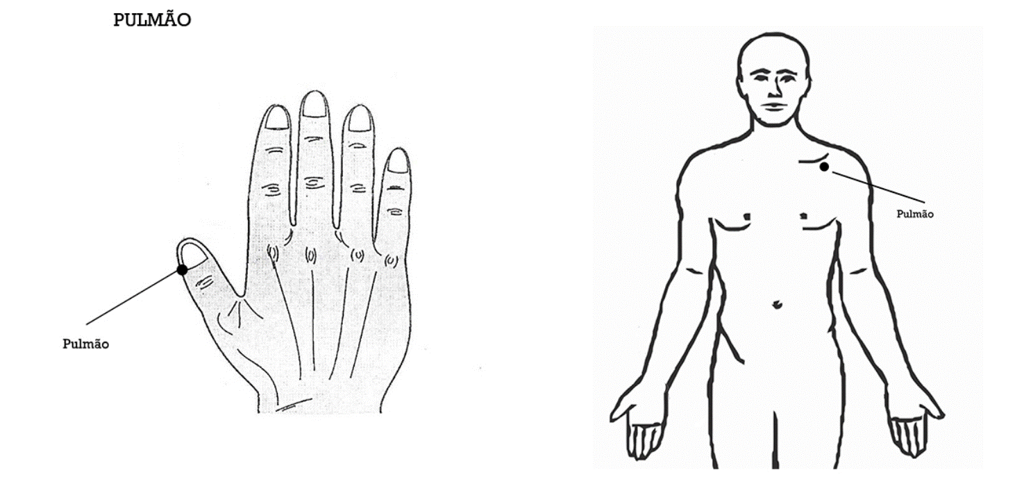 Pontos de tapping do meridiano Pulmão, desenho original da metodologia