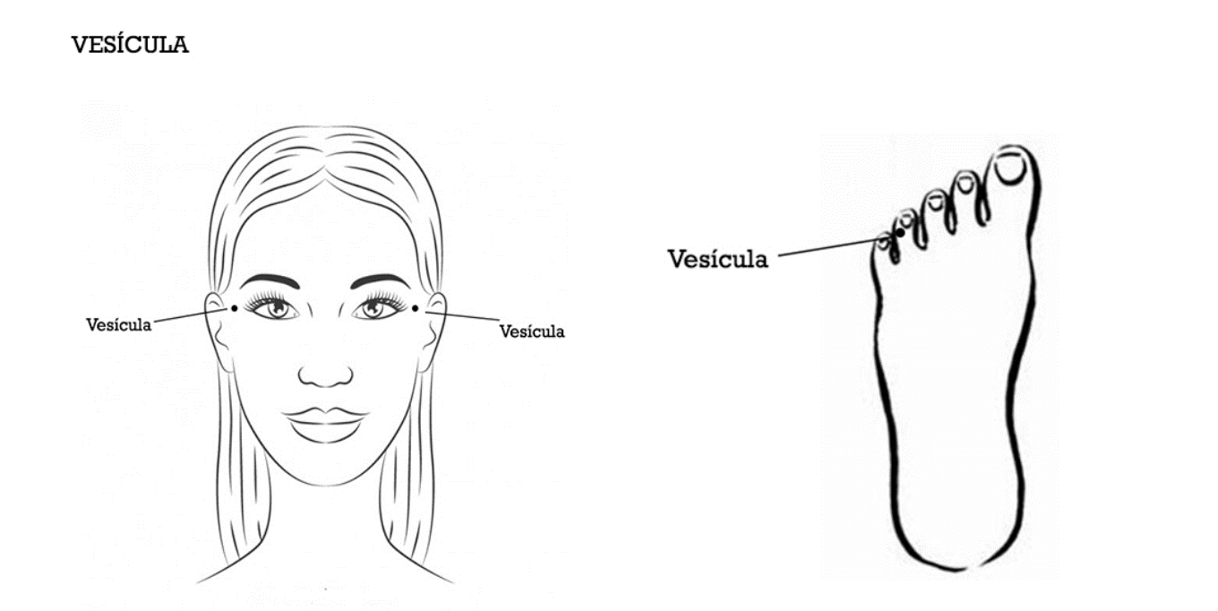 Pontos de tapping do meridiano Vesícula, desenho original da metodologia