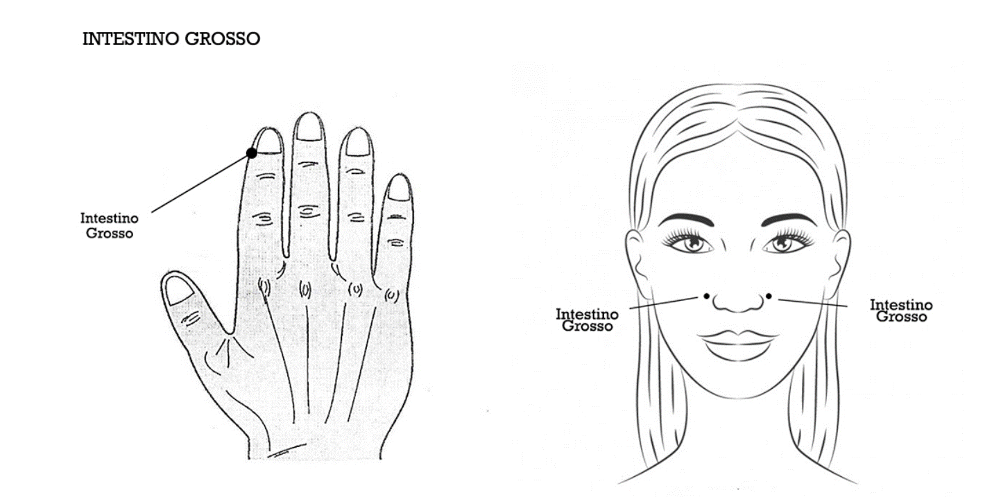 Pontos de tapping do meridiano Intestino Grosso, desenho original da metodologia