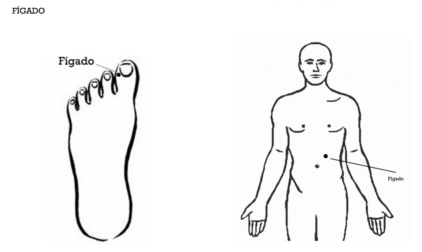 Pontos de tapping do meridiano Fígado, desenho original da metodologia