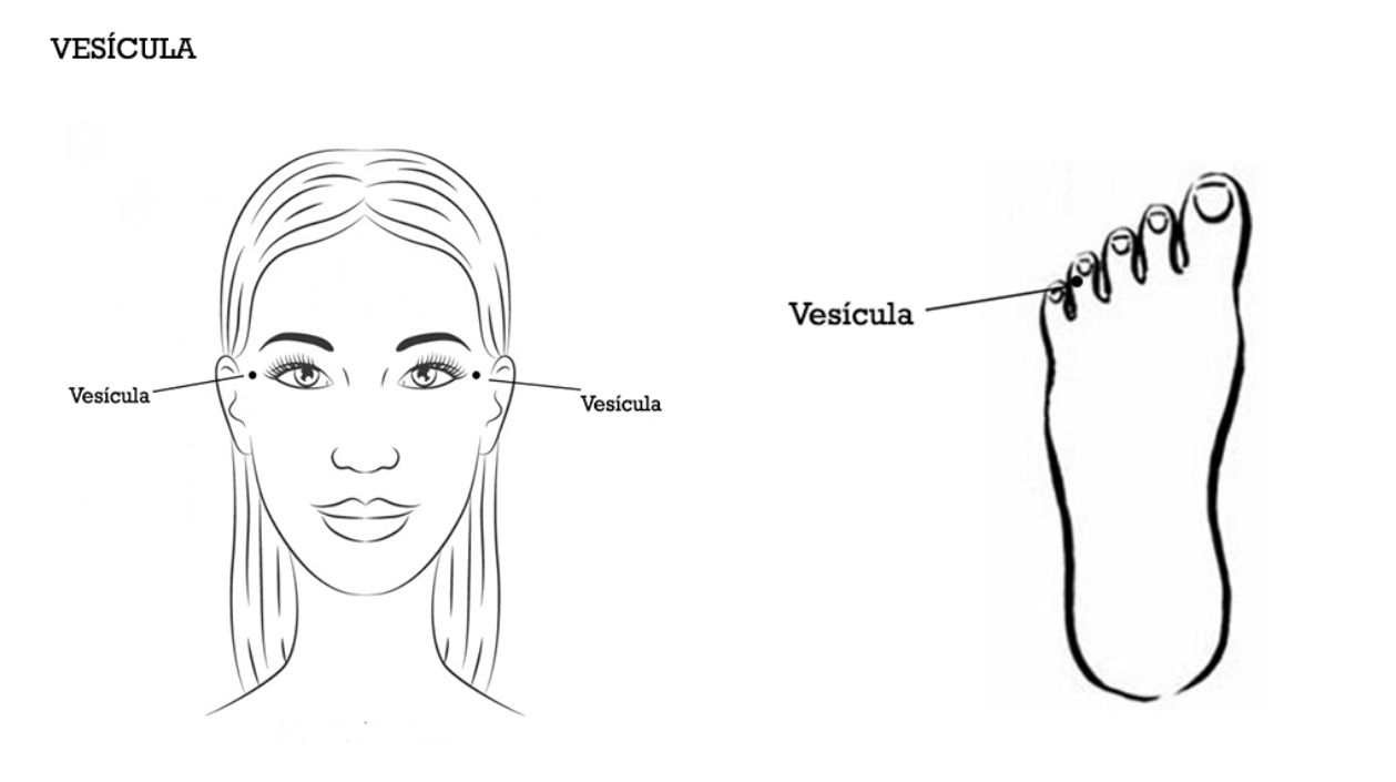 Pontos de tapping do meridiano Vesícula, desenhados por Katia