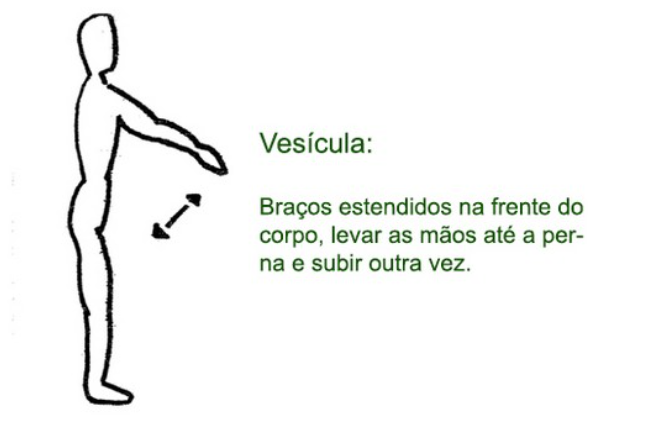 Ilustração original do exercício corporal do meridiano Vesícula, desenho da Katia